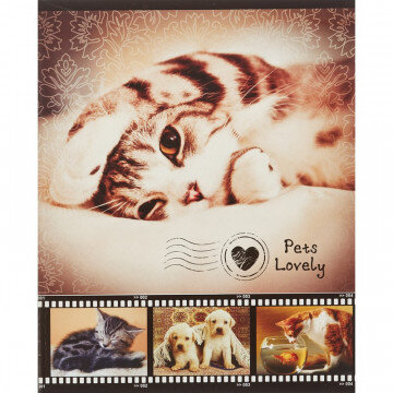 Тетрадь общая 48л,клет,А5,скреп,Любимые питомцы,ТО48К9388/Э