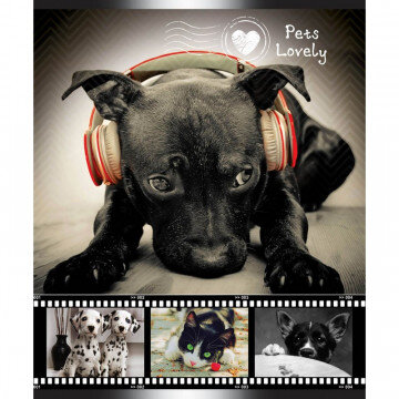 Тетрадь общая 48л,клет,А5,скреп,Любимые питомцы,ТО48К9388/Э