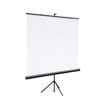 Экран Digis DSKC-1102 мобильный 1:1, 180х180