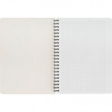 Тетрадь общая №1 School Лиса 96л., пластиковая обл., запечат.лист, пружина