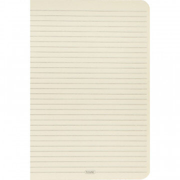 Тетрадь общая А5,160л,линия,спираль, обл.тверд.картон Мальчик-девочка 07934