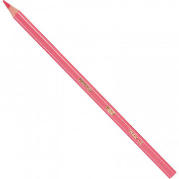 Карандаши цветные 12цв 6-гран BIC Evolution 829029