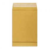 Пакеты в упаковке Крафт С4стрип Extrapack 229х324 100г 250шт/уп/6541