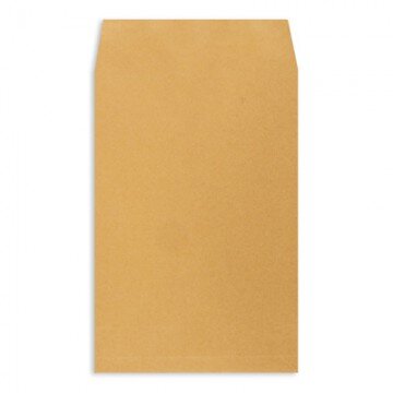 Пакеты в упаковке Крафт С4стрип Extrapack 229х324 100г 250шт/уп/6541