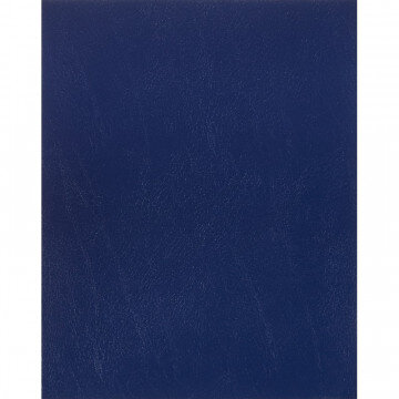 Тетрадь общая А5,48л,клет,скреп,обл.бумвинил,блок офсет-2 Синяя 047613