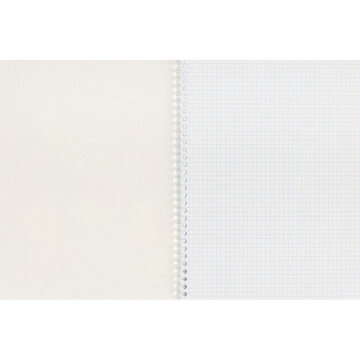 Тетрадь общая А4,80л,кл,гребень, мел.карт. Сладкая ягода в ассор ТО80А49547