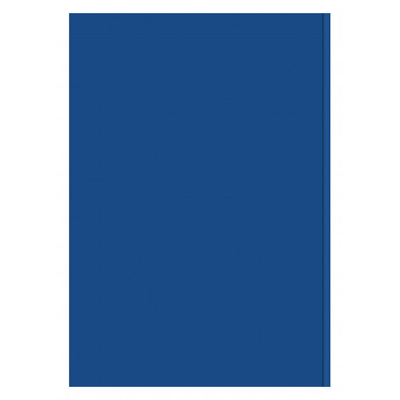 Журнал учета проверок юр.лиц и ИП,96л,бумвинил,А4