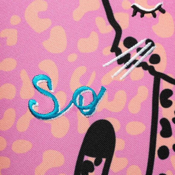 Ранец №1School Basic Лео 2 отд