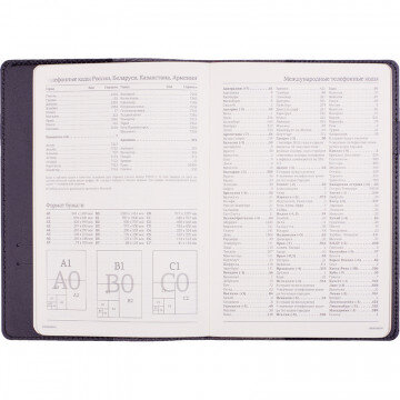 Ежедневник п/дат,черный,кожа,A5,1,208 л.,Br.V.PROFY 3-073/02 Ежедневник п/дат,черный,кожа,A5,1,208 л.,Br.V.PROFY 3-073/02