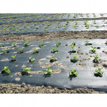 Пленка укрывная ПВД, 1,8х50м, 35мкм, черная