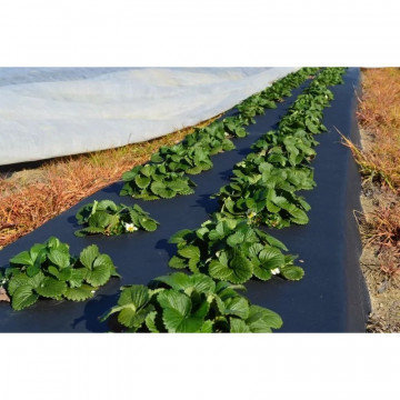 Пленка укрывная ПВД, 1,8х30м, 35мкм, черная