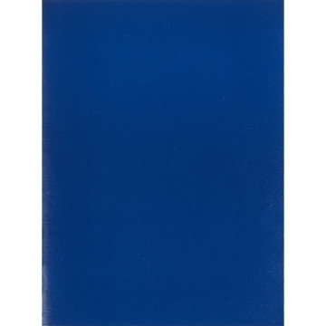 Тетрадь общая 96л,клет,А4,скреп,обл.бумв,Брянск,блок офсет