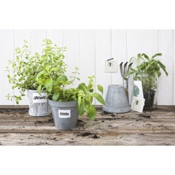 Этикетки самоклеящиеся 62025Living, всепогодные, белые, 47,5 х 35 мм,