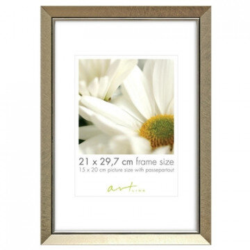 Рамка пластиковая Elegant Champagne 21x29,7 31434