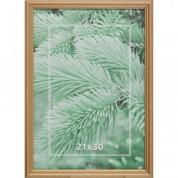 Рамка 21х30см деревянная, профиль №1, цвет ?золото?