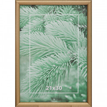 Рамка 21х30см деревянная, профиль №4, цвет ?золото?