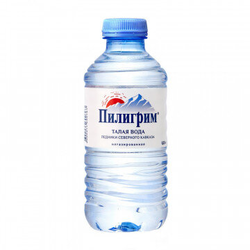 Вода минеральная Пилигрим негазированная, 0,25 л., 8 шт./уп Вода минеральная Пилигрим негазированная, 0,25 л., 8 шт./уп
