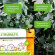 Таблетки для посудомоечных машин Synergetic 55 штук
