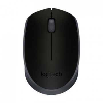 Мышь компьютерная Logitech (910-004424) Wireless Mouse M171, Black