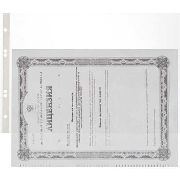 Папка -файл перфорированная  А4, Attache100шт. уп гладкая , горизонт