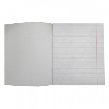 Тетрадь школьная А5,12л,косая линия Однотонная.С уголком ТШ12К7607