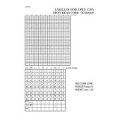 Этикет-пистолет OPEN С20/A 2-стр10х10зн,26х16пр