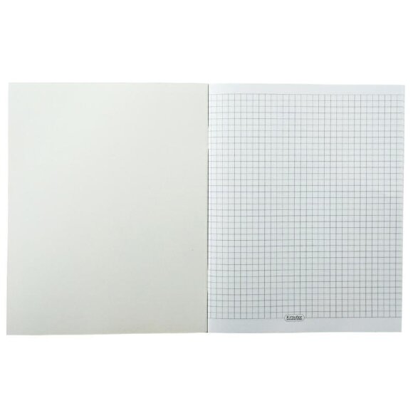 Тетрадь общая А5,48л,165х206,клет,скрепка,обл.карт,бл.65гр Серия Арт 00008