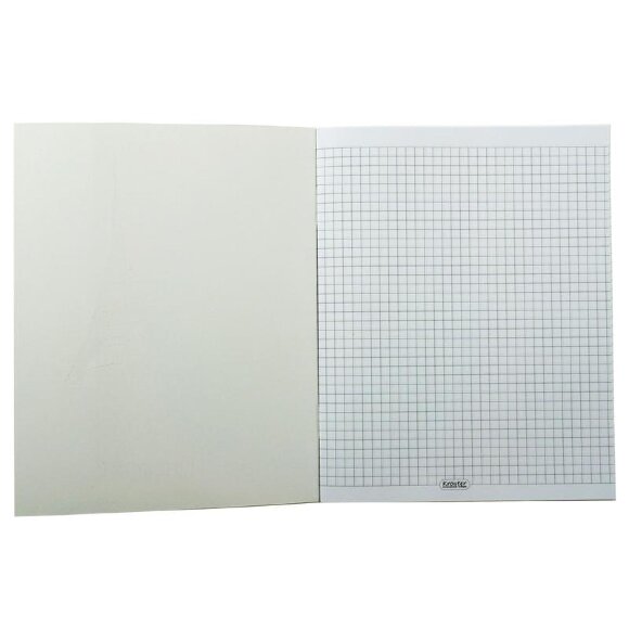 Тетрадь общая А5,48л,165х206,клет,скрепка,обл.карт,бл.65гр Серия Сити 00046